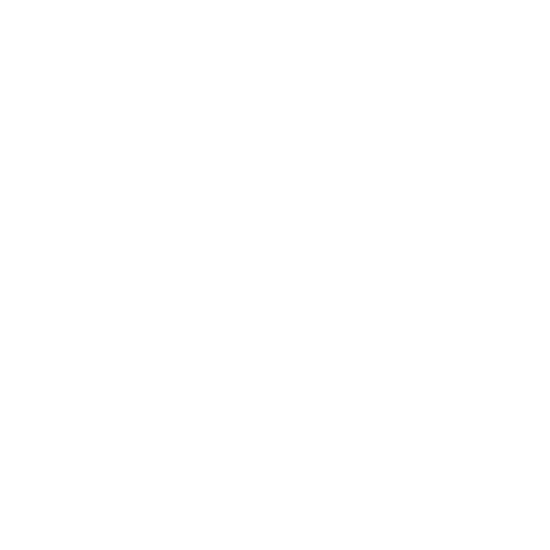 AVSI